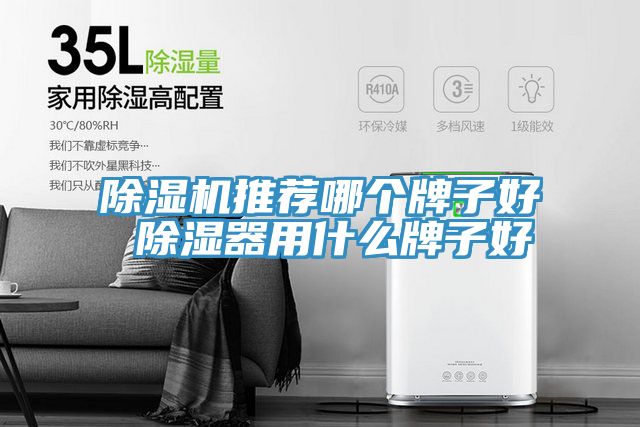 草莓视频91污推薦哪個牌子好 除濕器用什麽牌子好